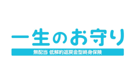 一生のお守り